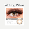 Fresh Lady Non-Prescription Colour Soft Colored Monthly Contact Lenses